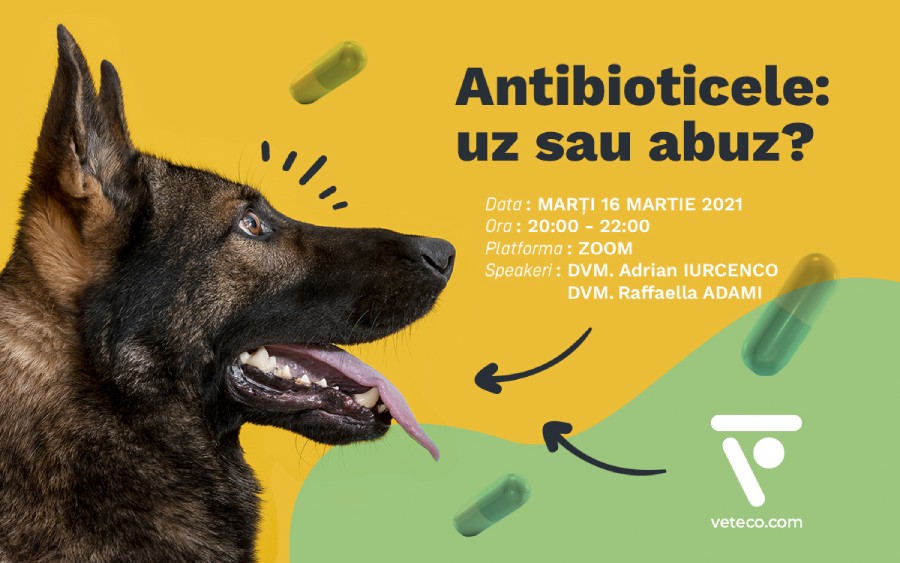 Antibioticele: Uz sau abuz?