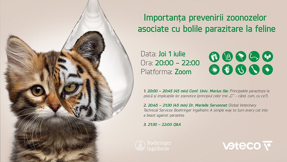 Importanța prevenirii zoonozelor  asociate cu bolile parazitare la feline