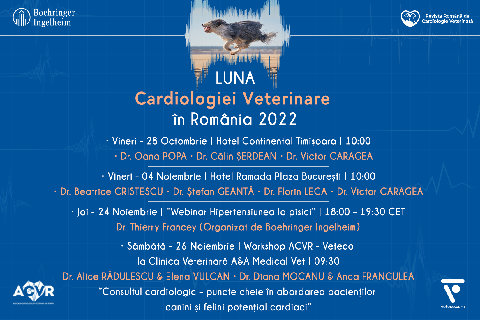 Luna Cardiologiei Veterinare în România 2022!